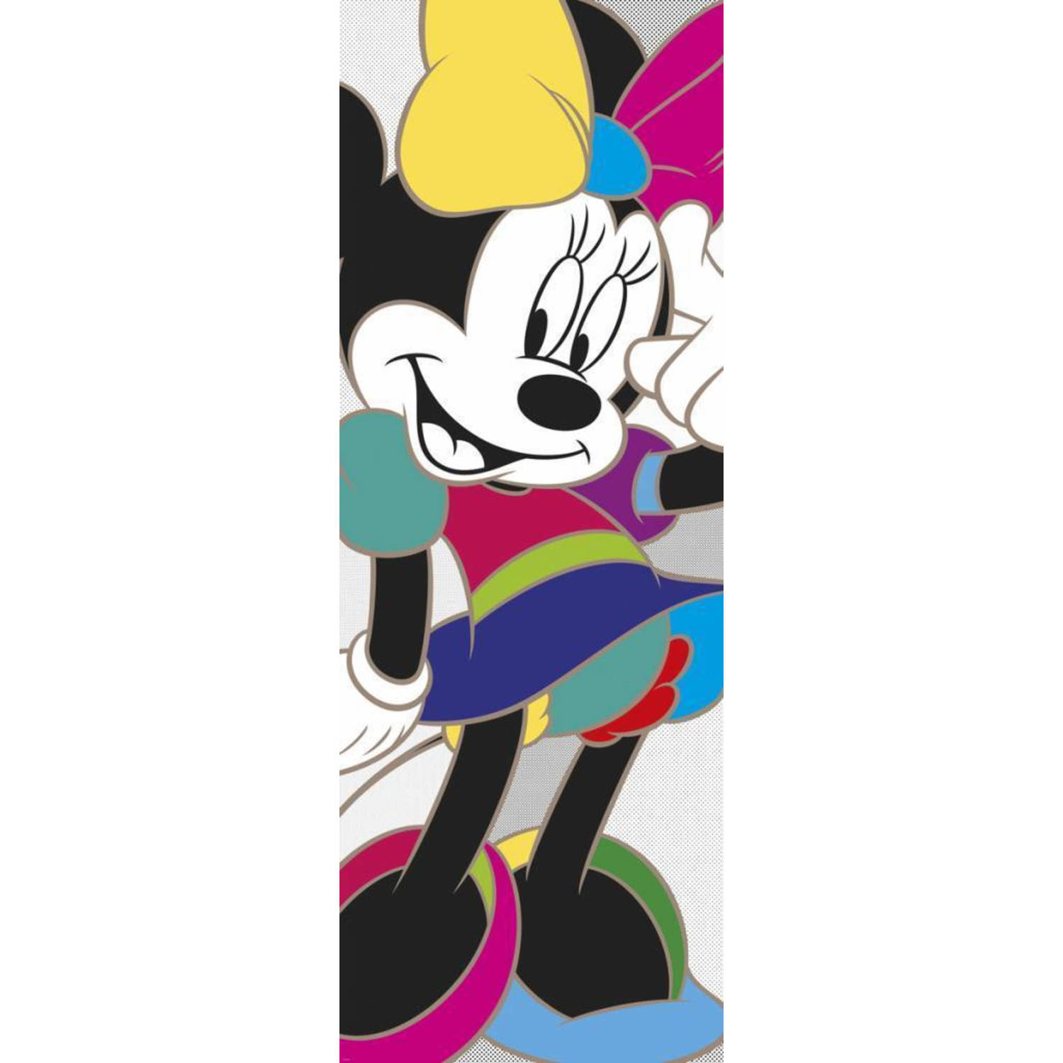 Minnie Mouse Kleurrijk
