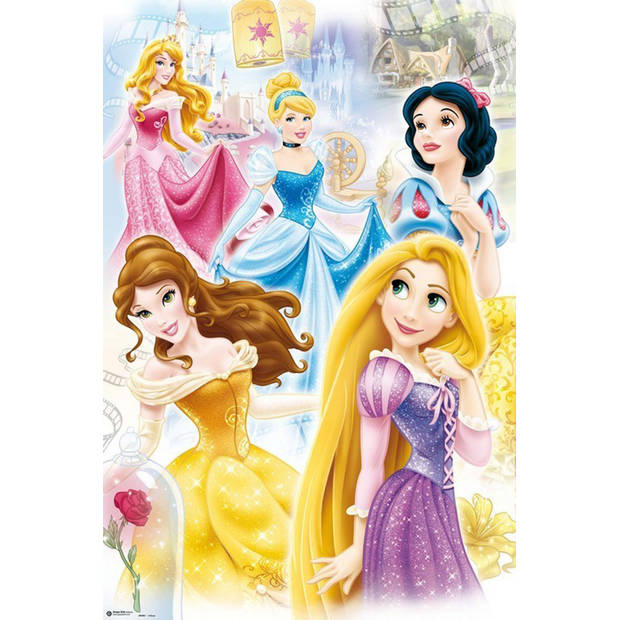 Poster Disney Princess Group 61x91,5cm