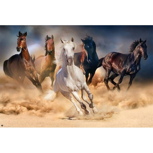 Poster Five Horses 91,5x61cm