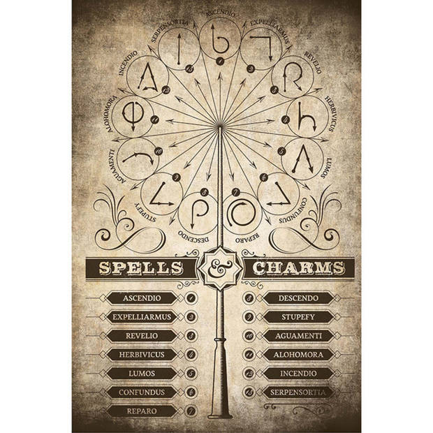 Poster Harry Potter Spells and Charms 61x91,5cm