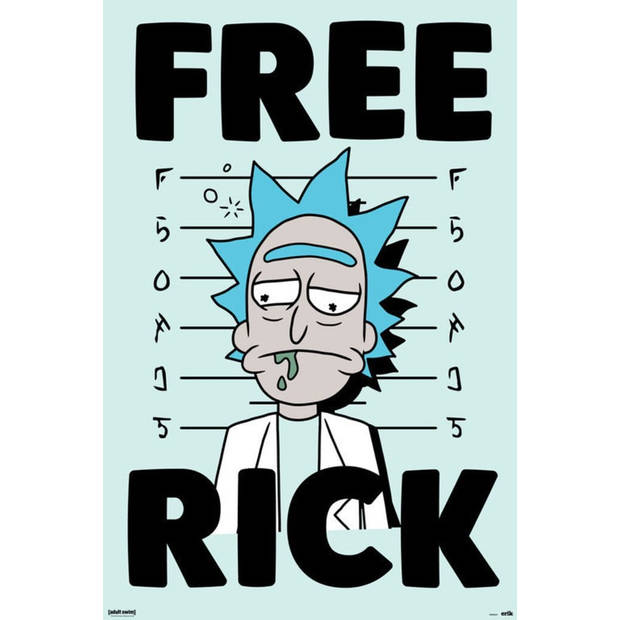 Poster Rick and Morty Free Rick 61x91,5cm