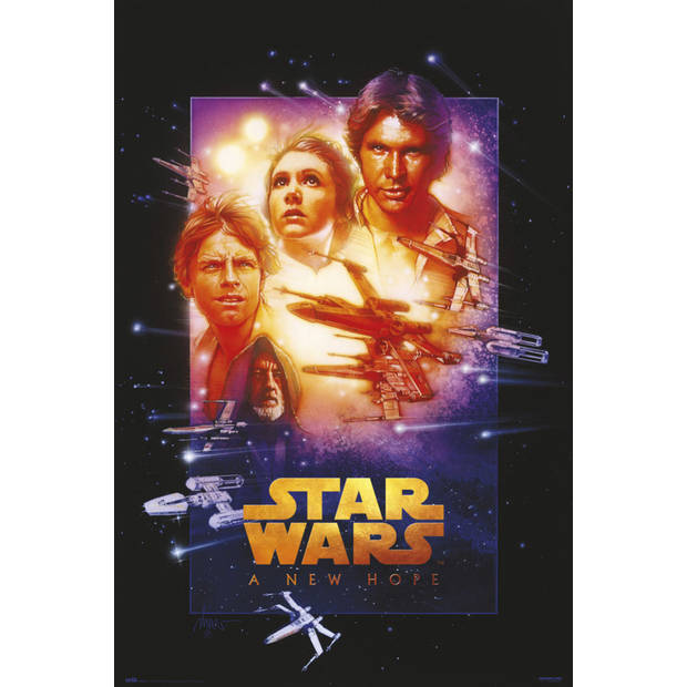 Poster Star Wars A New Hope Special Edition 61x91,5cm