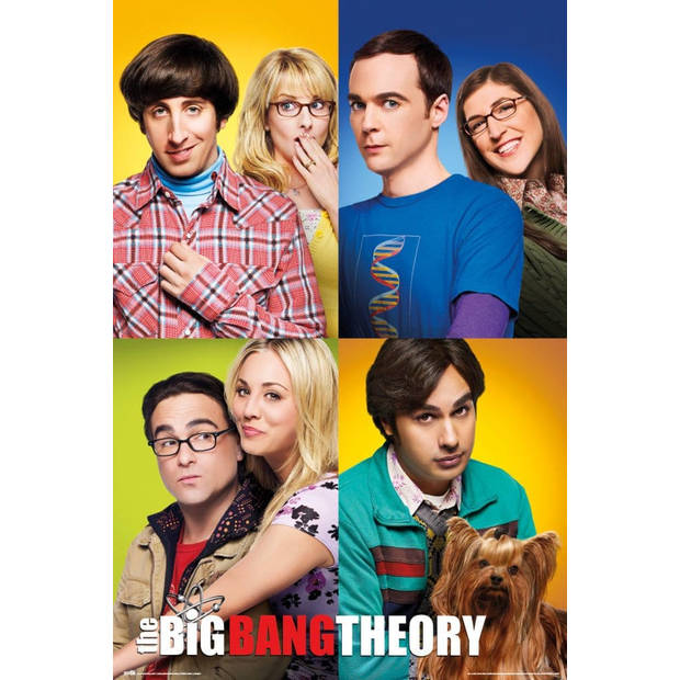 Poster The Big Bang Theory Mosaico 61x91,5cm