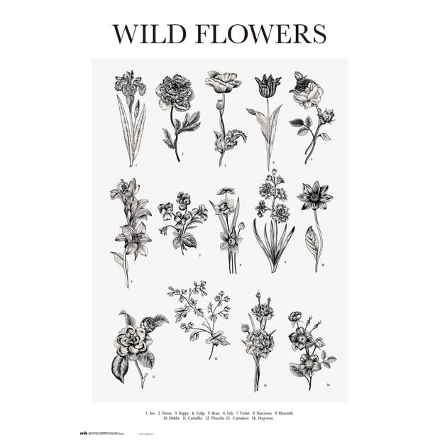 Poster Wild Flowers 61x91,5cm