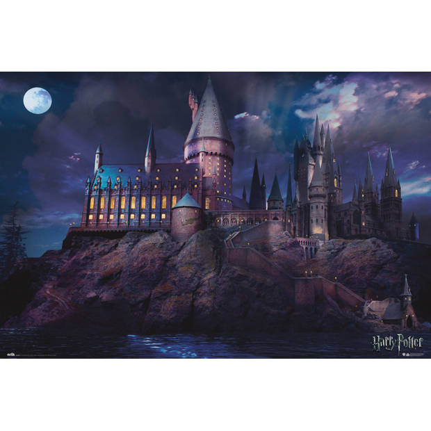 Poster Harry Potter Hogwarts 91,5x61cm