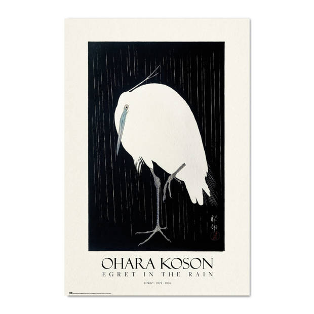 Poster Egret In The Rain 61x91,5cm