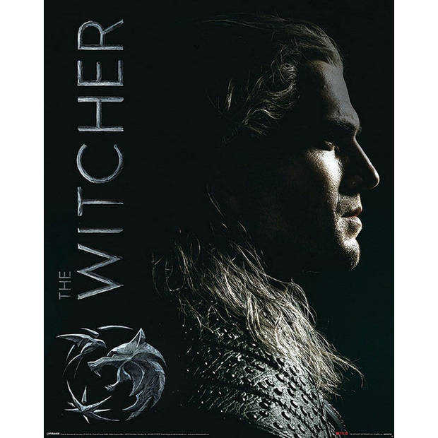 Poster The Witcher Shadows Embrace 40x50cm