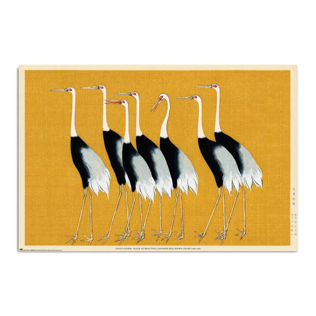 Poster Flock Of Beautiful Japanese Red Crown Crane By O Korin 61x91,5cm