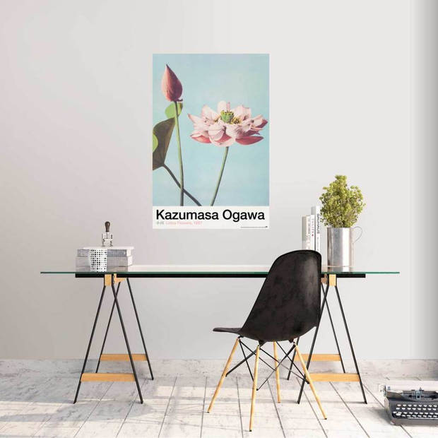 Poster Lotus Flowers By K Ogawa 61x91,5cm