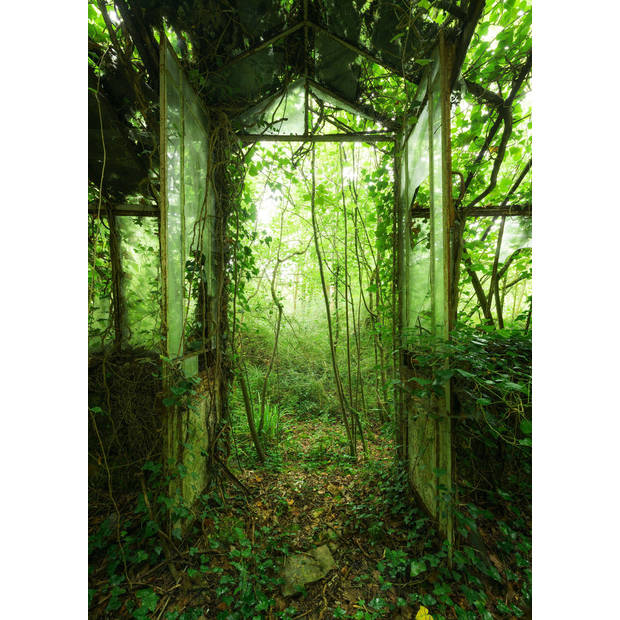 Fotobehang - Greenhouse 200x280cm - Vliesbehang