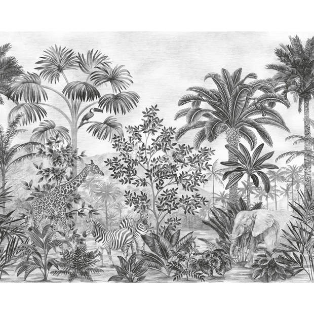 Fotobehang - Jungle Evolution 350x280cm - Vliesbehang