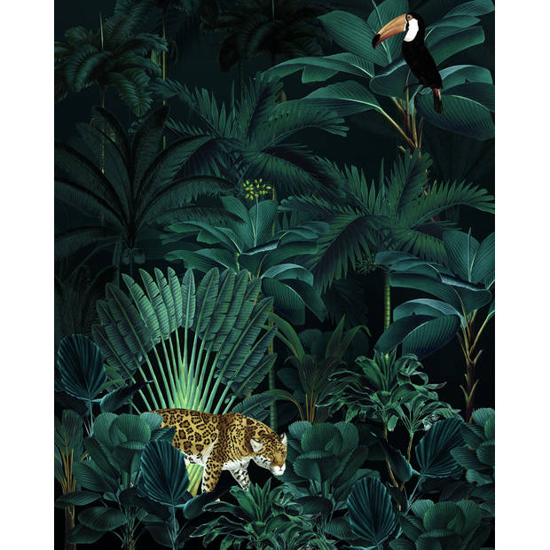 Fotobehang - Jungle Night 200x250cm - Vliesbehang