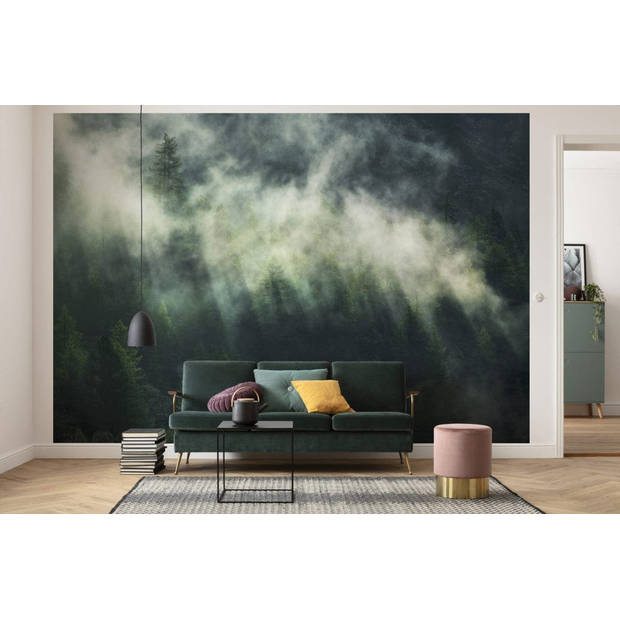 Fotobehang - Misty Crowns 350x250cm - Vliesbehang