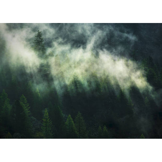 Fotobehang - Misty Crowns 350x250cm - Vliesbehang