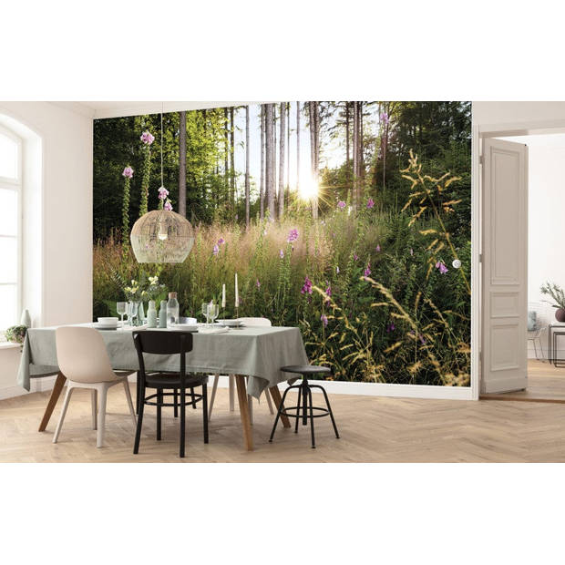 Fotobehang - Summer Glade 350x250cm - Vliesbehang