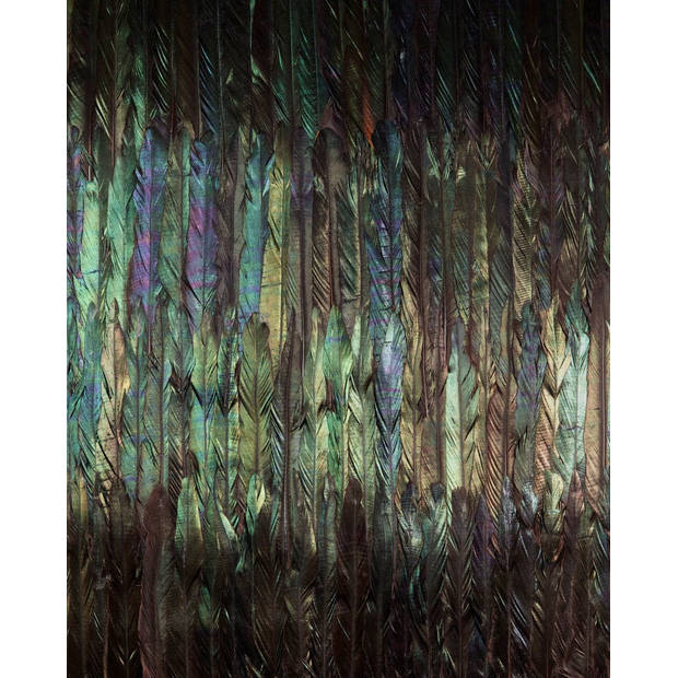 Fotobehang - Dark Wings 200x250cm - Vliesbehang