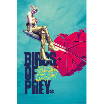 Poster Birds of Prey Broken Heart 61x91,5cm
