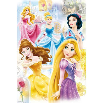 Poster Disney Princess Group 61x91,5cm