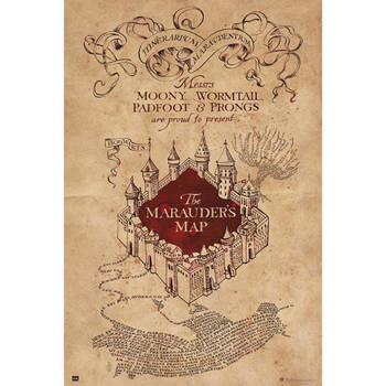 Poster Harry Potter - The Marauders Map 61x91,5cm