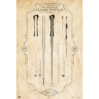 Poster Harry Potter The Wand 61x91,5cm