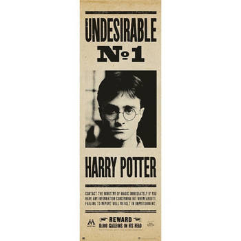 Poster Harry Potter Undesirable nr 1 53x158cm