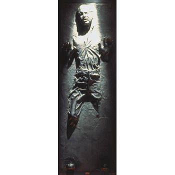 Poster Star Wars Han Solo Carbonite 53x158cm