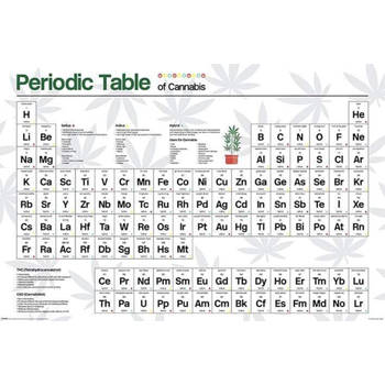 Poster Periodic Table Cannabis 61x91,5cm