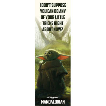 Poster Star Wars The Mandalorian Special Tricks 53x158cm