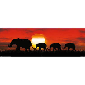 Poster Sunset Elephants 91,5x30,5cm