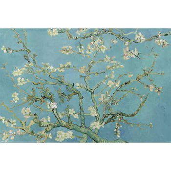 Poster Van Gogh Almond Blossom 91,5x61cm