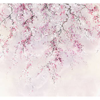 Fotobehang - Kirschblüten 300x280cm - Vliesbehang