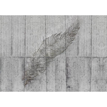 Fotobehang - Concrete Feather 350x250cm - Vliesbehang