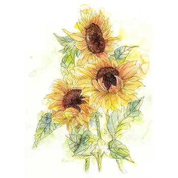 Fotobehang - Girasol 200x250cm - Vliesbehang