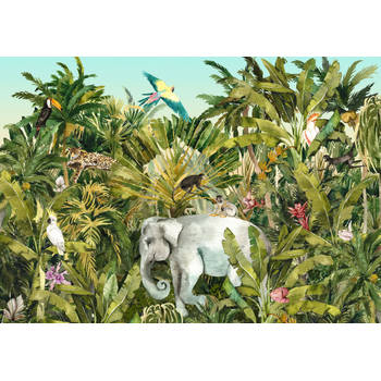 Fotobehang - Jungle Expedition 400x280cm - Vliesbehang