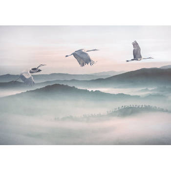 Fotobehang - Mystic Cranes 400x280cm - Vliesbehang