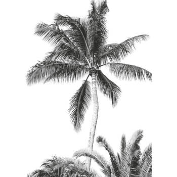 Fotobehang - Retro Palm 200x280cm - Vliesbehang