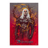 Poster The Witcher 2 Geralt Of Rivia 61x91,5cm