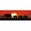 Poster Sunset Elephants 91,5x30,5cm