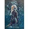 Poster The Witcher Ciri the Swallow 61x91,5cm