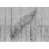 Fotobehang - Concrete Feather 350x250cm - Vliesbehang