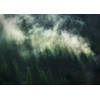 Fotobehang - Misty Crowns 350x250cm - Vliesbehang