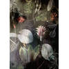 Fotobehang - Night Flowers 200x280cm - Vliesbehang
