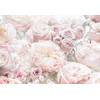 Fotobehang - Spring Roses 368x254cm - Papierbehang