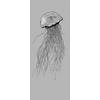 Fotobehang - Jellyfish 100x250cm - Vliesbehang