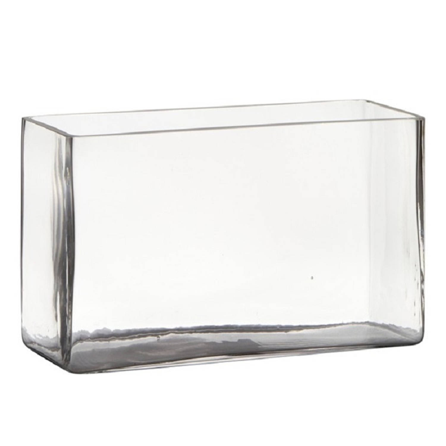 Transparante Rechthoek Accubak Vaas-vazen Van Glas 25 X 10 X 15 Cm Vazen