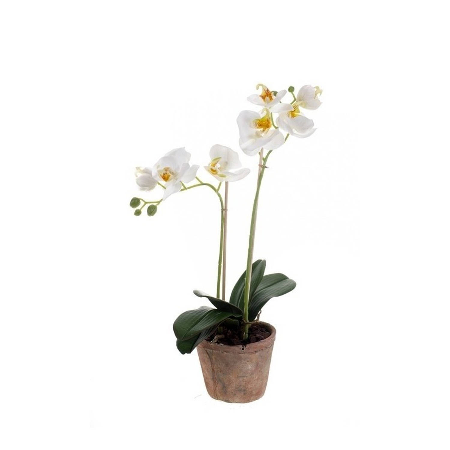 Witte vlinderorchidee kunstplanten in pot 42 cm - Kunstplanten