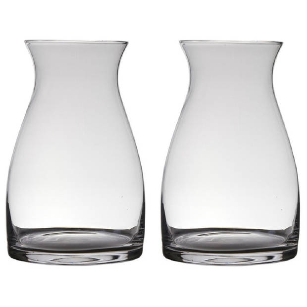 Set van 2x stuks transparante home-basics vaas/vazen van glas 38 x 26 cm Julia - Vazen