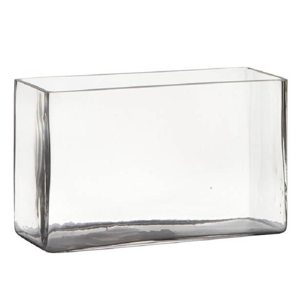 Set van 2x stuks transparante rechthoek accubak vaas/vazen van glas 25 x 10 x 15 cm - Vazen