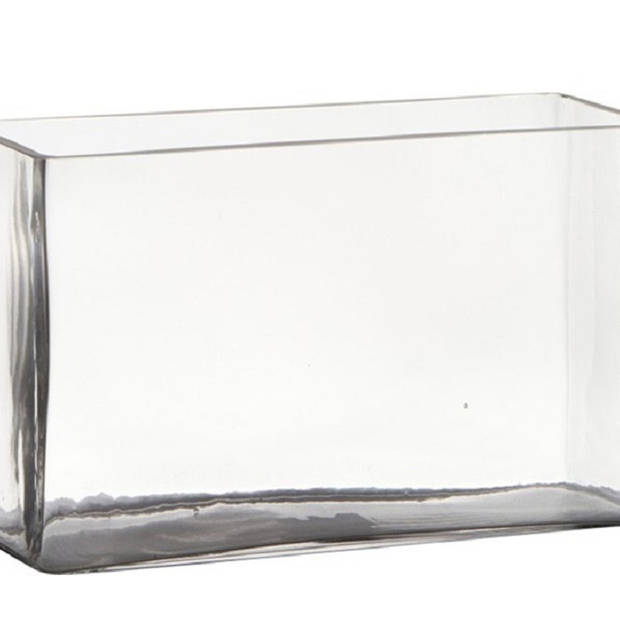 Transparante rechthoek accubak vaas/vazen van glas 25 x 10 x 15 cm - Vazen