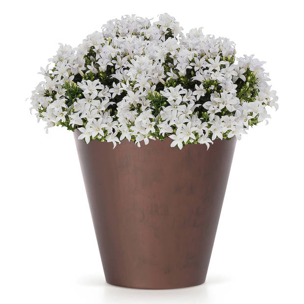 Prosperplast plantenpot - kunststof - brons - D30 x H28 cm - Plantenpotten